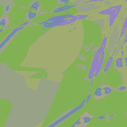 GRUENCDSUSPD   PARTEI  NEUEN  TYPHUS