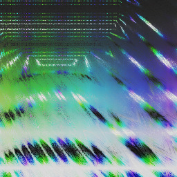 black mould