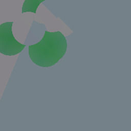 her heretical belief in ­biological fact