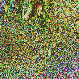 daze-go-speeding bye ...