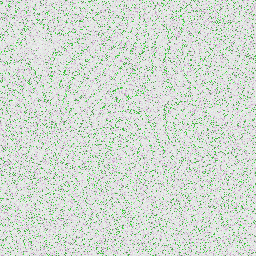 ಸ್ಕ್ರೇಗ್ಗ, ದಪ್ಪ ಅಂಡ್ ಪೋಪಿಫೈ, ಕೇಶನಲಿಸ್ಮ್