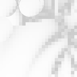 Did God create skunks? Why?