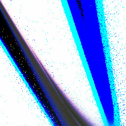 Piano Man's Beard's Bird