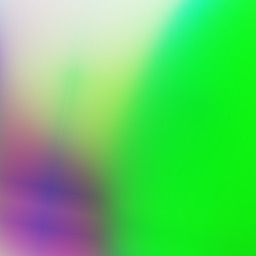 The Japanese Nightmare Poodle