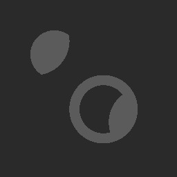 The  "BrickMouse"    Howse