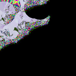 walkxeggshellseggshells