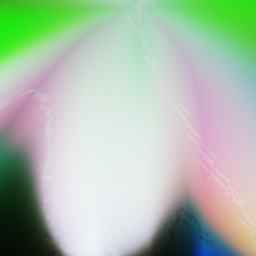 steinKauz nach verLust d. sauerKrauts