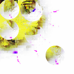 Eat your 'cancer-cell' Lab pig meat and be happy.