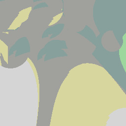 couple-languages-proficient parrot