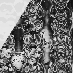 President blanqui preserved