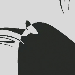 Seven Deb J                    7 Seven