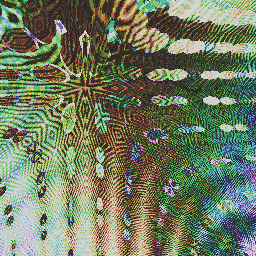 teeth hair hampered's.