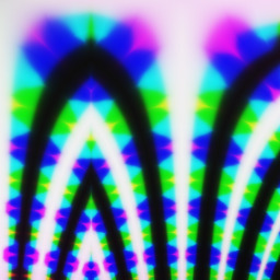 happy                                        dog