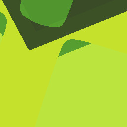 curious kindly has 2 shoes