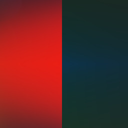 thoug fly flag,  some wear  shades