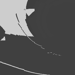 Ashley St. Clair undressed