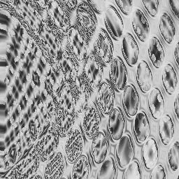 ~X-TRA St-uPiD FlAkEs...