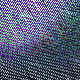 [blank] about samurais just appeals to the caucasian mind