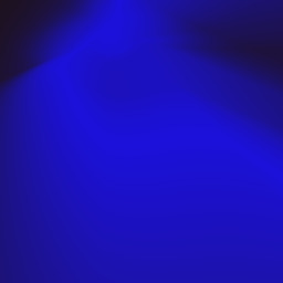 only rule: place no high bid