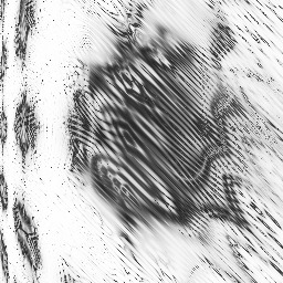 Laura          Chinchilla