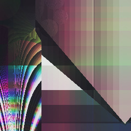 Laura               Chinchilla