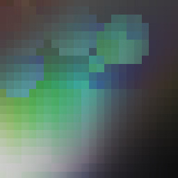 Your choice is illusion