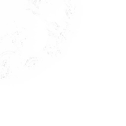 pursuit of       frigamidtrop