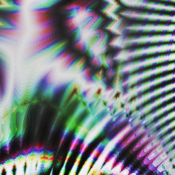 S igg el   k   o     w