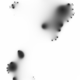 belayfirst               ly