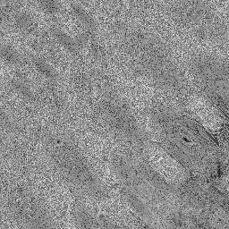 קארמה היא מלכת הכלבה של כל היקומים