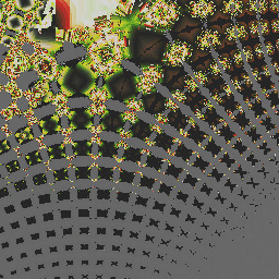 being alive IS 1 special occasion