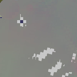 can ignor me : am no thoriTy ..