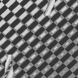 Fotographer Maitland