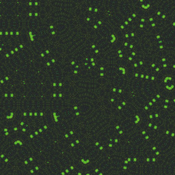 guys            possessing sexcret Verna Cular