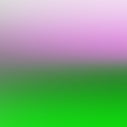 Feind –   Todfeind  – Parteifreund