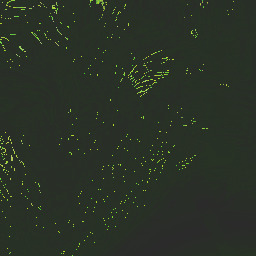 eerovutgwpxg csftbhjukbvn