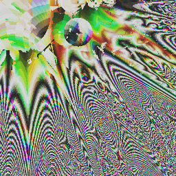 super corrupt brabies