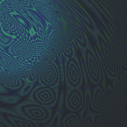 What did Donald Trump do? What did Donald Trump do?