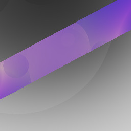 ICE : license to ignor license   ?