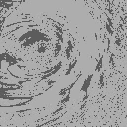 PH : by orDer of shroud ?