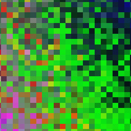 Facsimile ArchiboldDukfutch