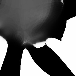 snirt         faubau