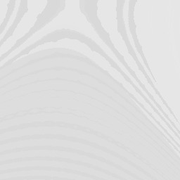 Twelve conquest knows AMBIDIMON