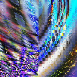 beetles.  The Open University The Open Univ