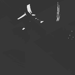 ruwe          begran