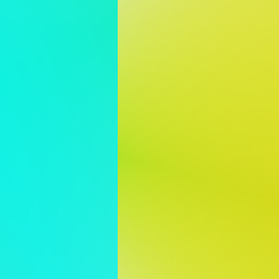 brokened shell?  let  pocket keep