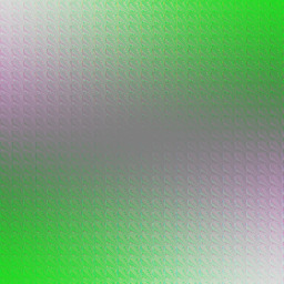 diabolical shammy...