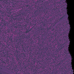 inspite of millions . . .