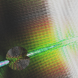 USA became Assasinsinia.