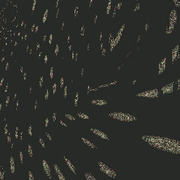 Cr555. YbfDxC5c V8